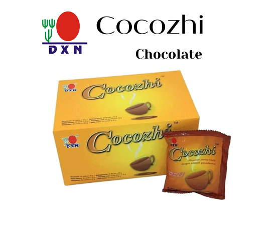 Cocozhi-image