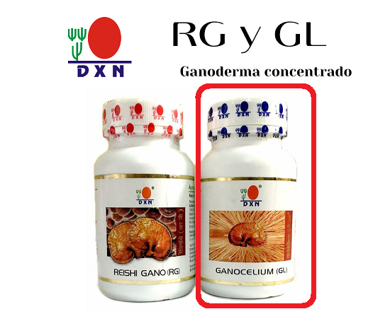 Ganocelium (GL) 30/90-image